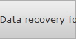 Data recovery for Roswell data