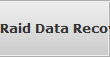Raid Data Recovery Roswell raid array